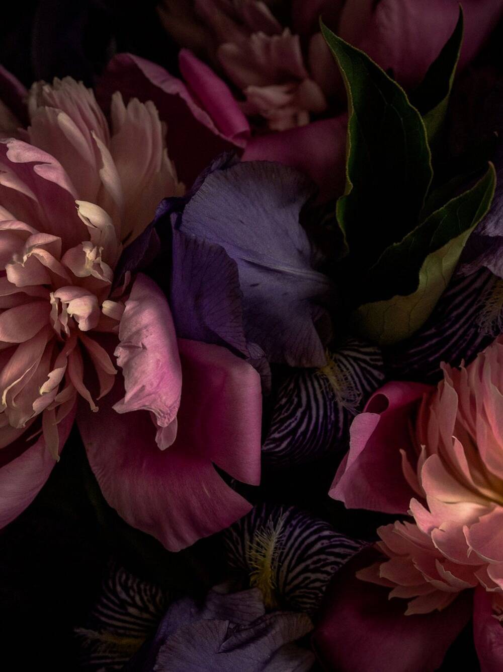 Flower Power